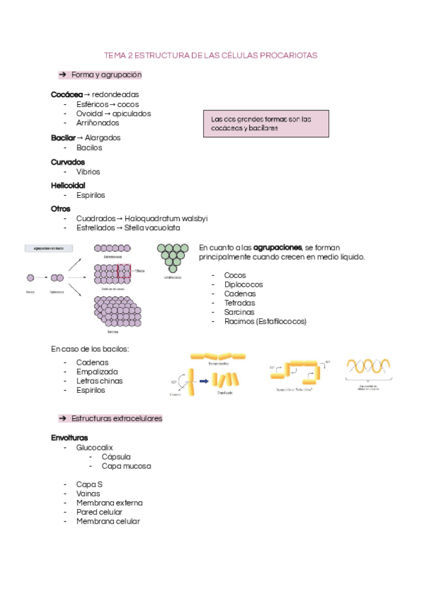 Miniatura del documento Tema-2.pdf