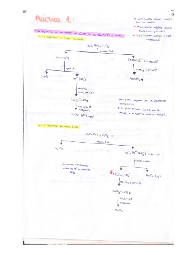 Miniatura del documento Resumenes-de-reacciones-y-teoria-examen.pdf