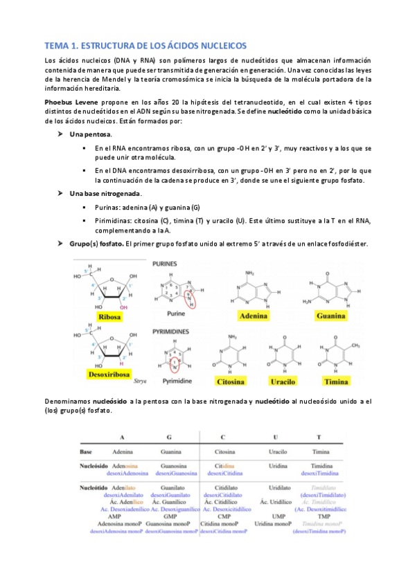 Miniatura del documento Bioquimica-II-y-Biologia-Molecular.-Procariotas.-2019-2020.pdf