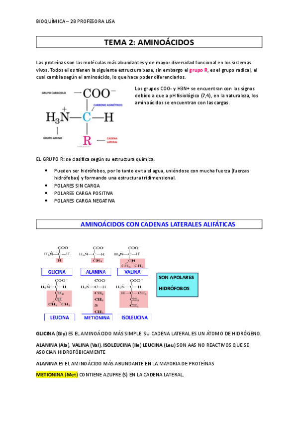 Miniatura del documento AMINOACIDOS.pdf