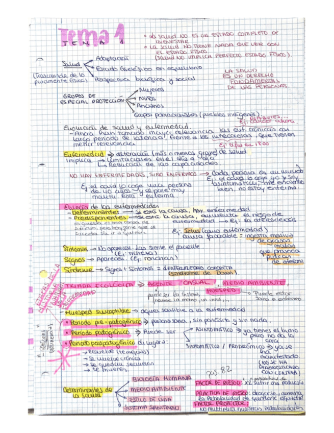 Miniatura del documento SALUD-PUBLICA-RESUMENES-BUENOS.pdf