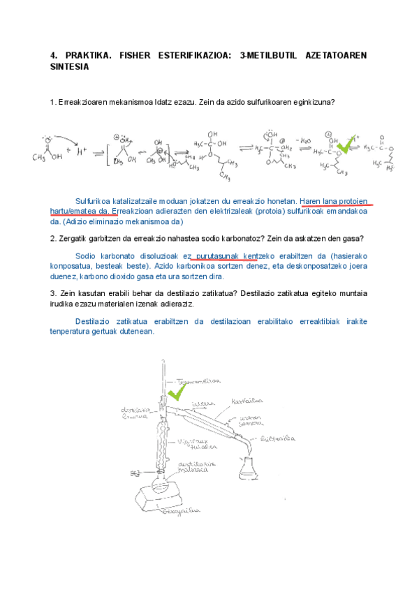 Miniatura del documento 4.-praktikaren-galderak.pdf