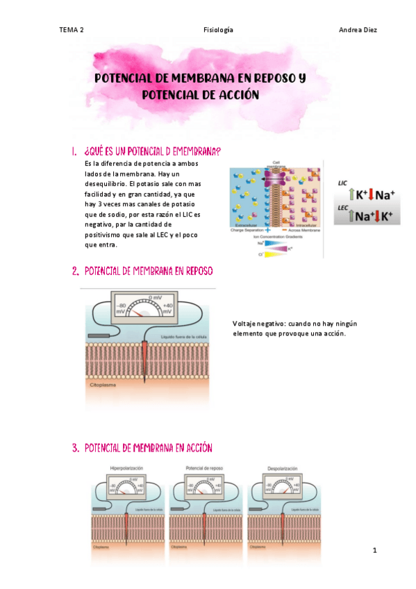 Miniatura del documento TEMA-2-Potencial-de-membrana-y-P.A..pdf