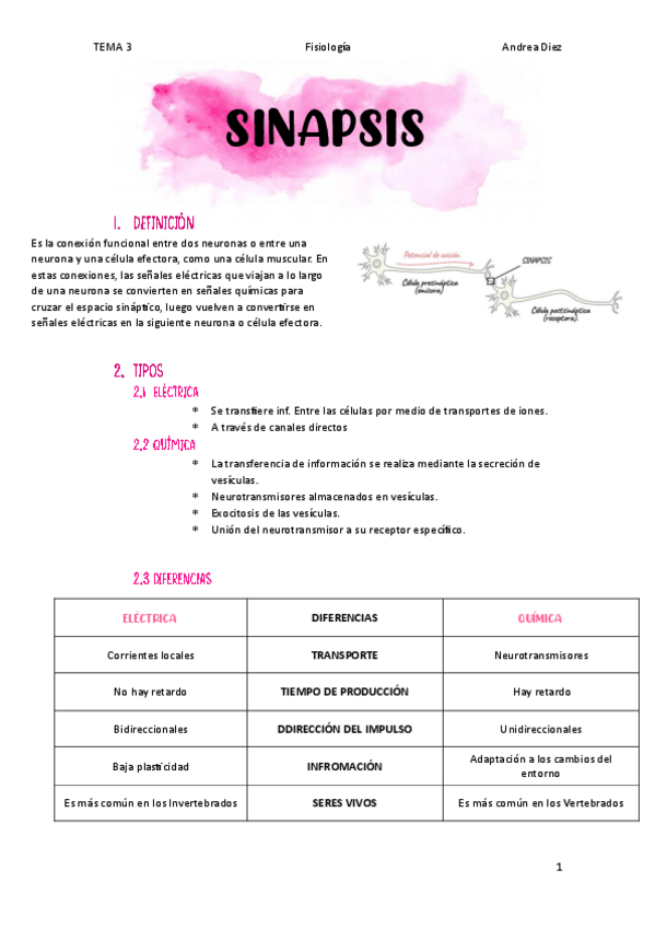 Miniatura del documento TEMA-3-Sinapsis.pdf