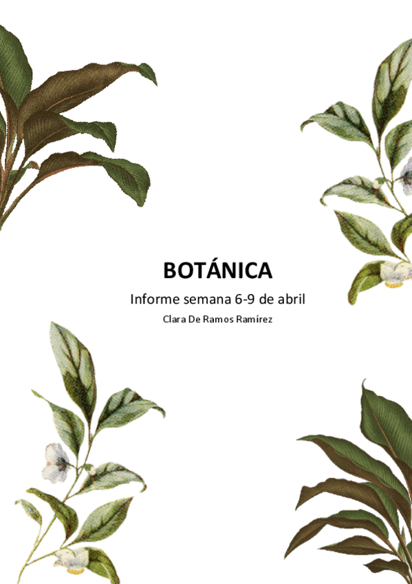 Miniatura del documento Informe-practicas-botanica-semana-6-9-abril.pdf