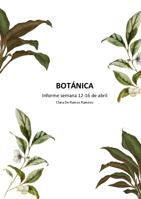 Miniatura del documento Informe-practicas-botanica-semana-12-16-abril.pdf