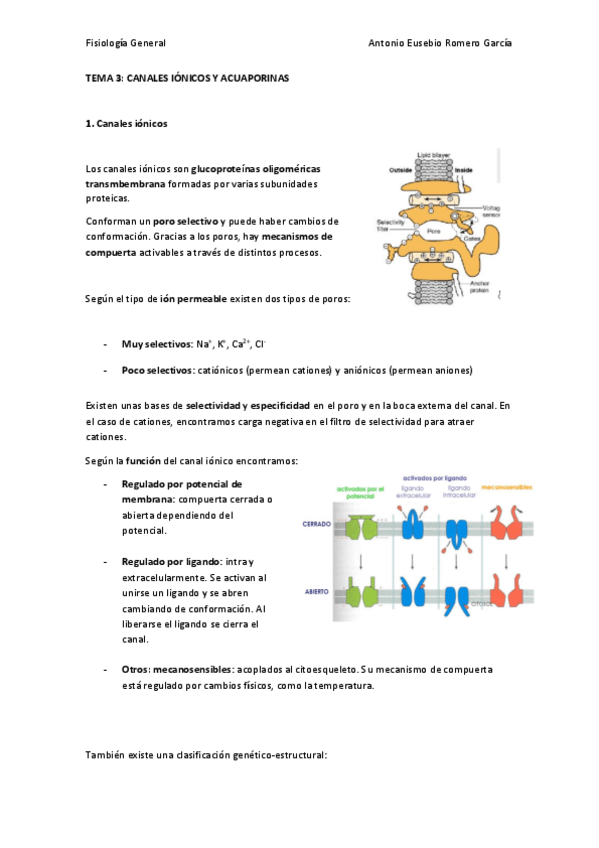 Miniatura del documento TEMA-3.pdf