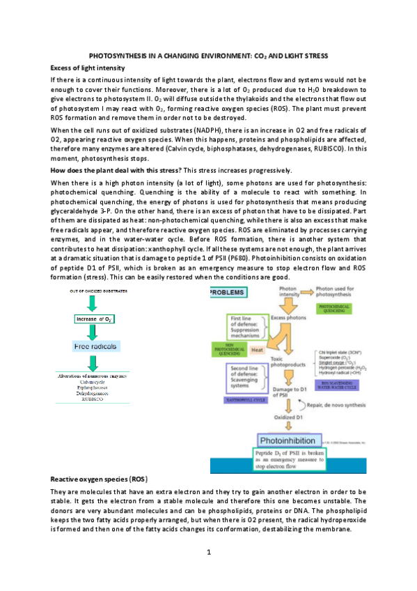 Miniatura del documento Lesson-2.pdf