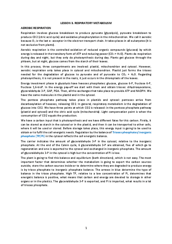 Miniatura del documento Lesson-3.pdf