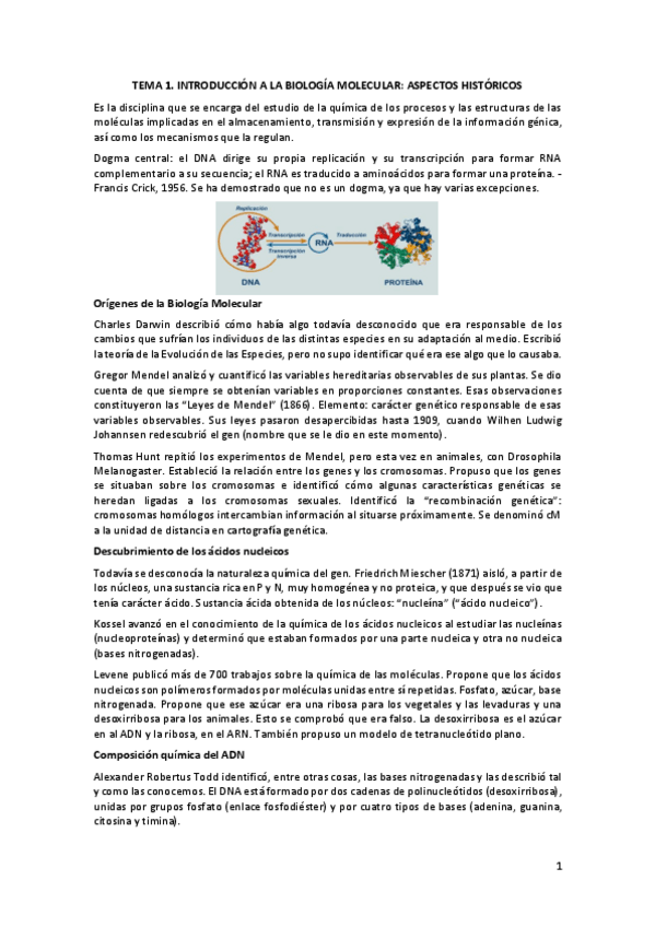 Miniatura del documento Tema-1.pdf