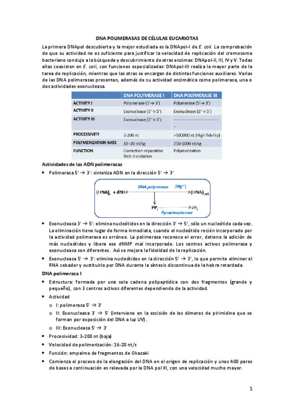 Miniatura del documento Polimerasas-de-procariotas.pdf