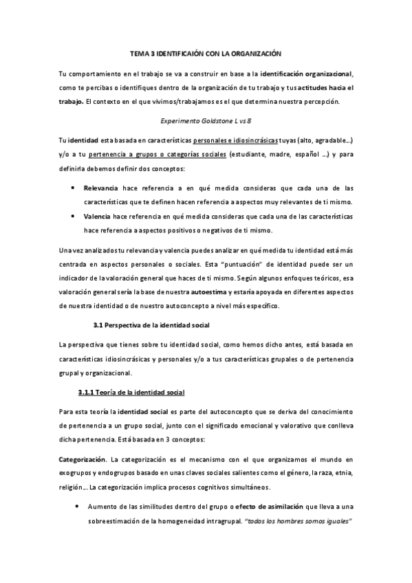 Miniatura del documento TEMA 3 IDENTIFICAIÓN CON LA ORGANIZACIÓN.pdf
