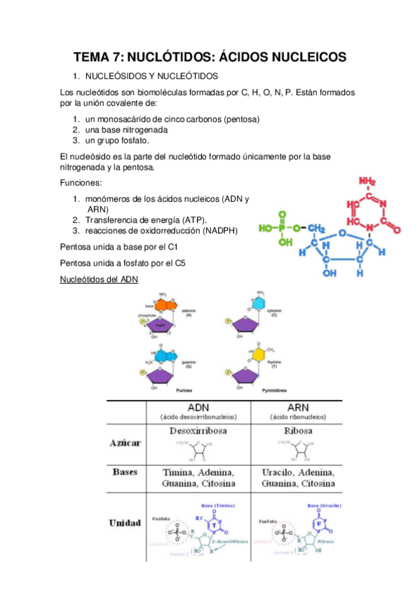 Miniatura del documento TEMA-7.pdf