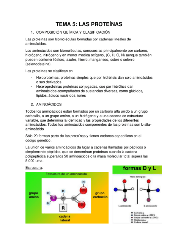 Miniatura del documento TEMA-5.pdf