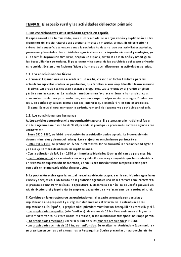 Miniatura del documento resumenes-GEOGRAFIA-tema-89.pdf