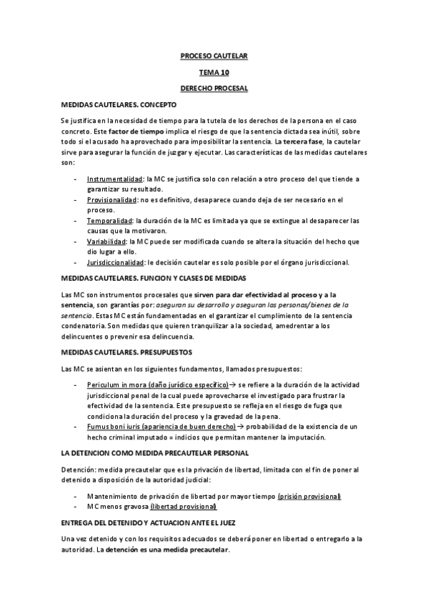 Miniatura del documento RESUMEN-TEMA-10-TOP-MEDIDAS-CAUTELARES.pdf