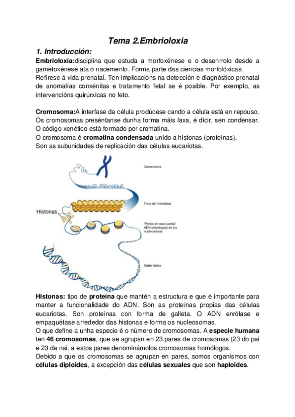 Miniatura del documento Tema2-Embriologia.pdf