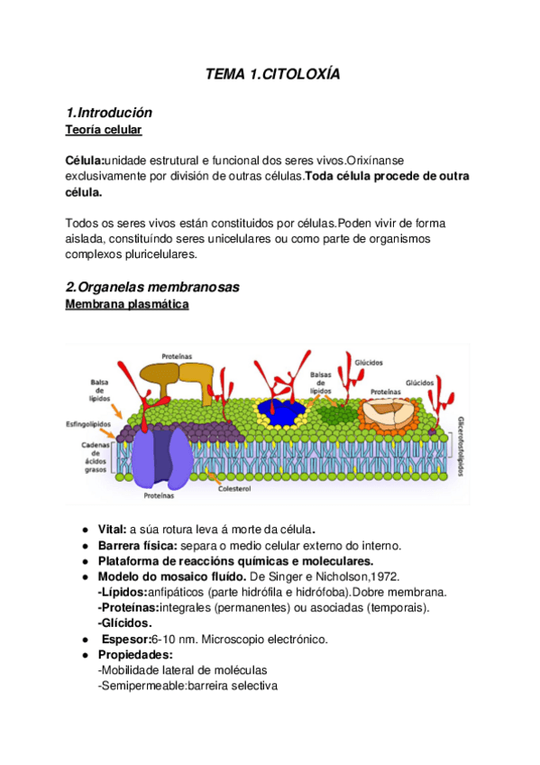 Miniatura del documento Tema-1-Citologia.pdf
