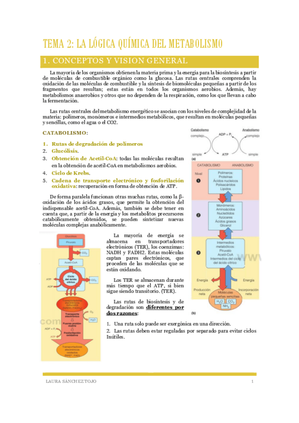 Miniatura del documento Tema-2-La-logica-quimica-del-metabolismo.pdf