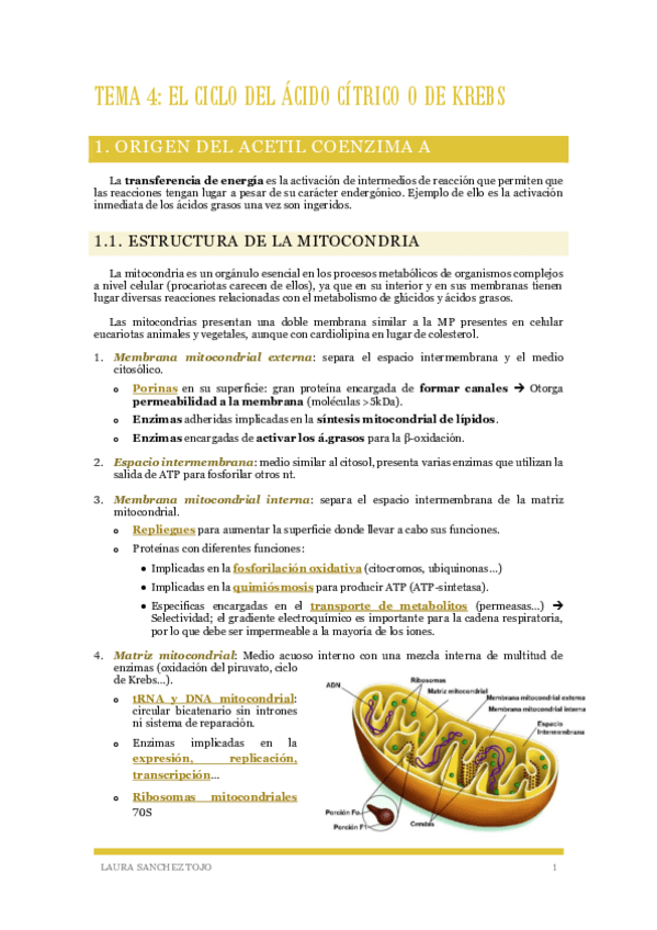 Miniatura del documento Tema-4-El-Ciclo-de-Krebs.pdf