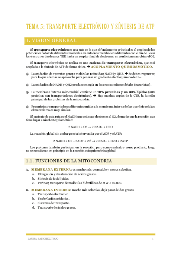 Miniatura del documento Tema-5-Transporte-electronico-y-sintesis-de-ATP.pdf