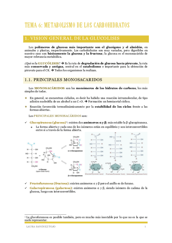 Miniatura del documento Tema-6-Metabolismo-de-los-carbohidratos.pdf