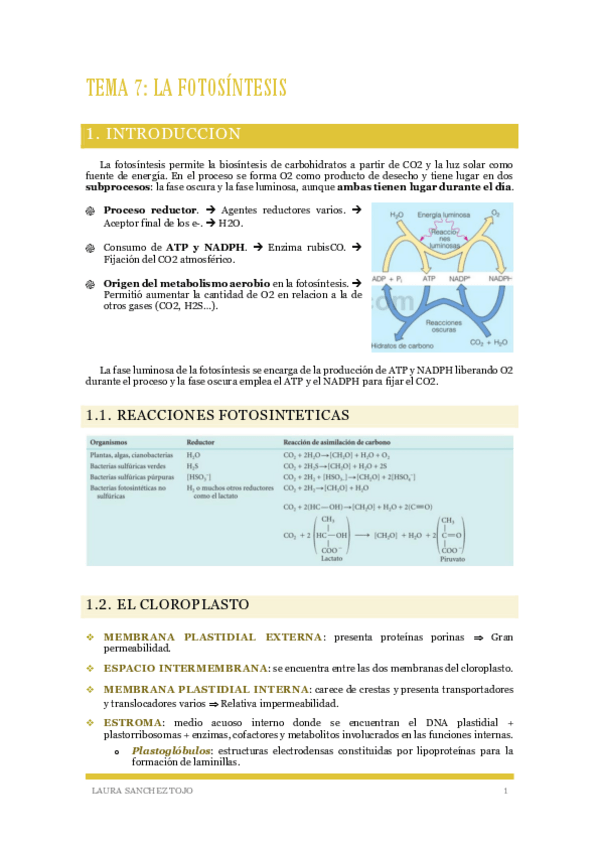 Miniatura del documento Tema-7-La-fotosintesis.pdf