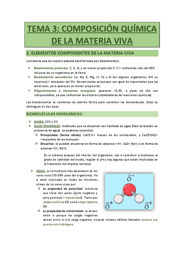 Miniatura del documento TEMA-3-Composicion-quimica-de-la-materia-viva.pdf