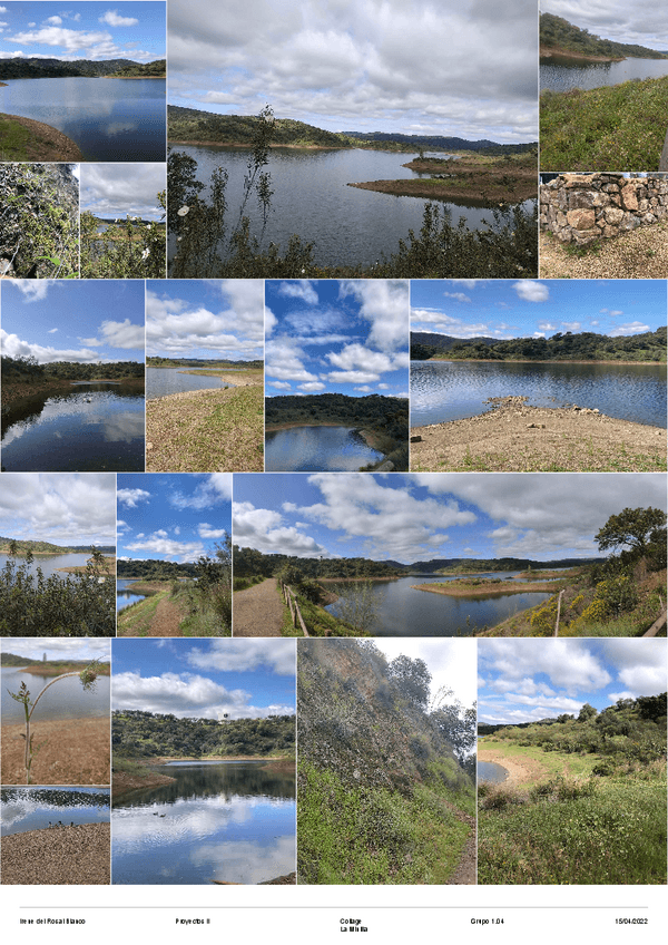 Miniatura del documento DEL-ROSAL-BLANCO-IRENE-ENTREGA-FINAL-LUGAR.pdf