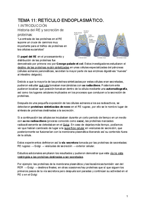 Miniatura del documento 2o-Parcial-Biologia-Celular.pdf