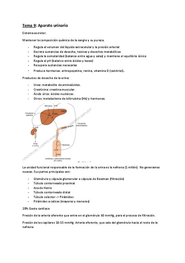 Miniatura del documento Tema-9-fisio.pdf