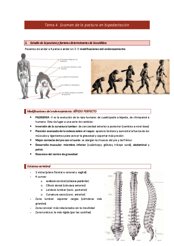 Miniatura del documento Tema-5.pdf
