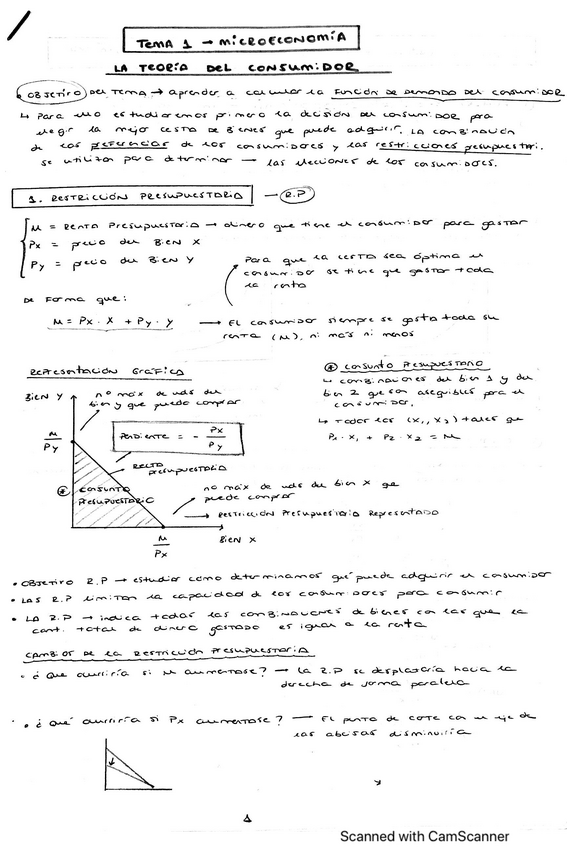 Miniatura del documento APUNTES-Y-EJERCICIOS-HECHOS-TEMA-1.pdf