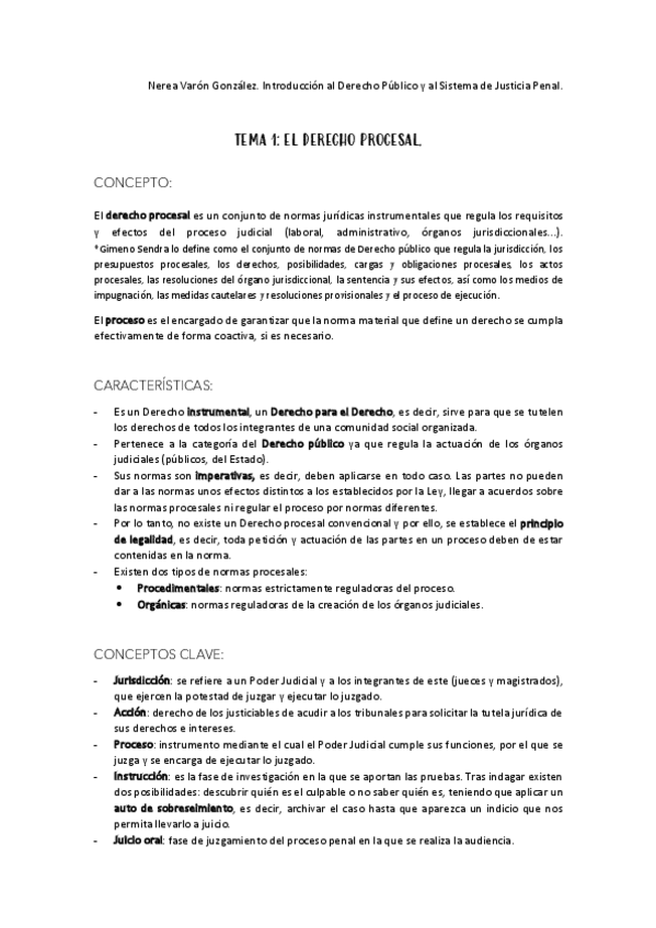 Miniatura del documento Introduccion-al-Derecho-Publico-y-al-Sistema-de-Justicia-Penal-procesal.pdf