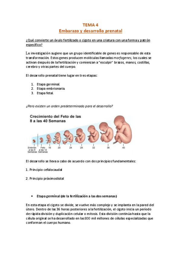 Miniatura del documento TEMA-4.pdf
