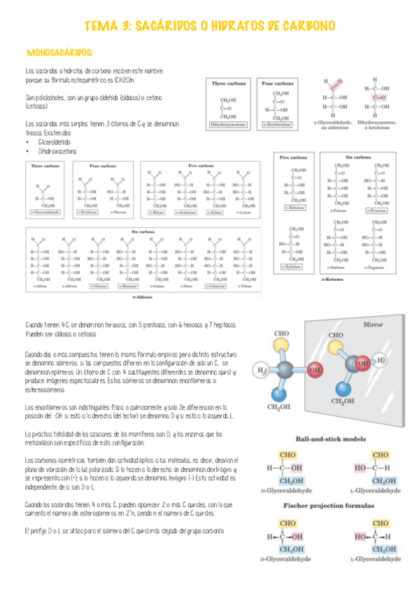 Miniatura del documento TEMA-3.pdf