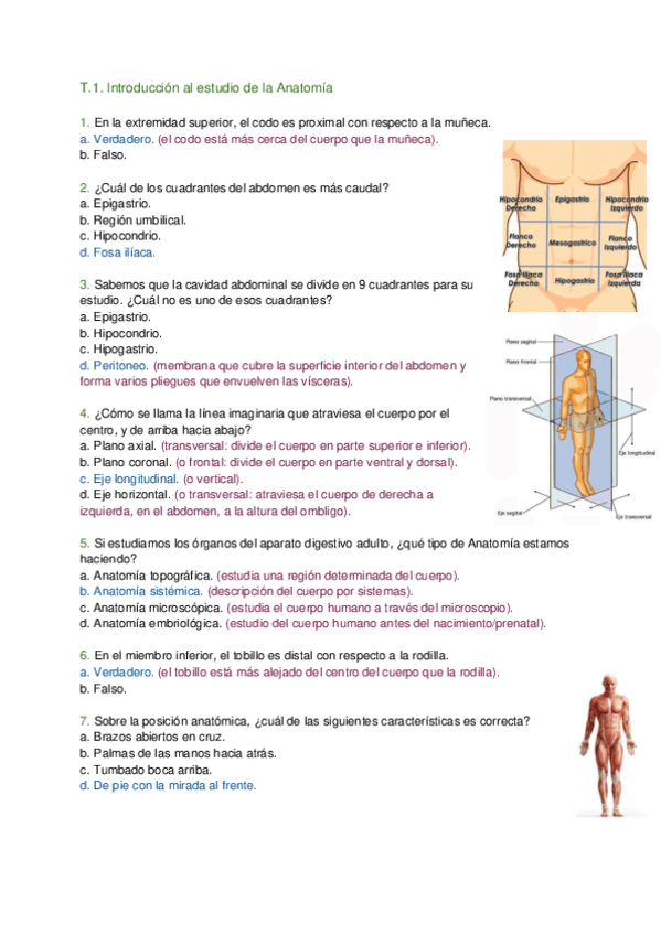 Miniatura del documento Anatomia-por-la-imagen-Autocuestionarios-1-Cuatrimestre.pdf
