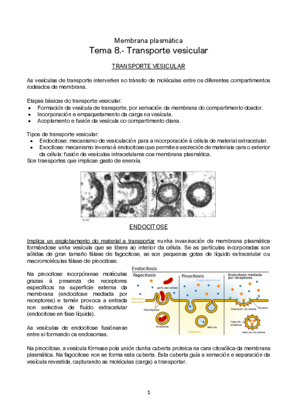 Miniatura del documento Tema-8-CON-FOTOS.pdf