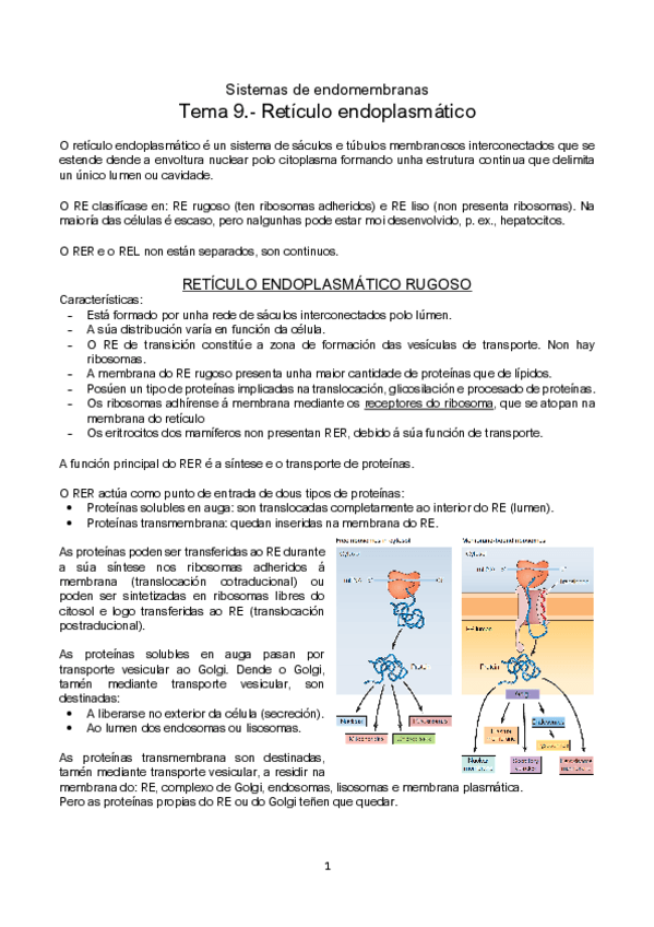 Miniatura del documento Tema-9-CON-FOTOS.pdf