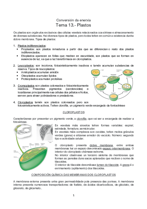 Miniatura del documento Tema-13-CON-FOTOS.pdf