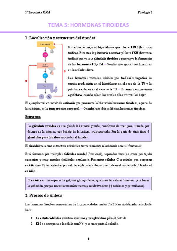 Miniatura del documento TEMA-5.-Hormonas-tiroideas..pdf