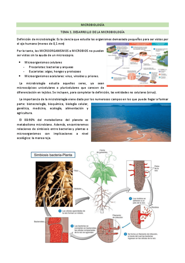 Miniatura del documento MICROBIOLOGIA-FINAL.pdf