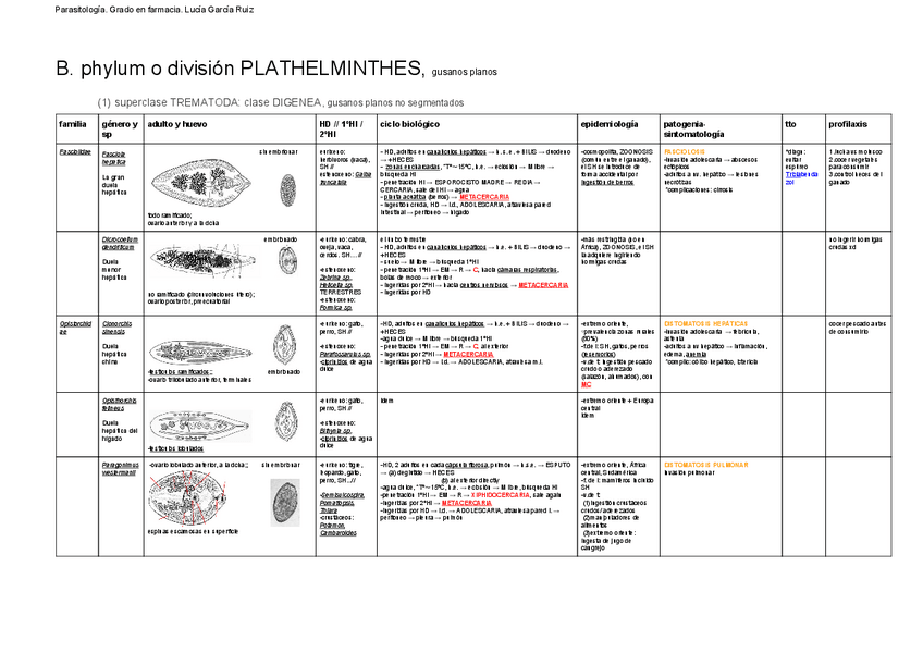 Miniatura del documento phylum PLATHELMINTHES (1).pdf