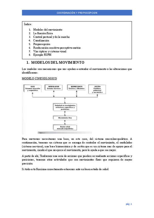 Miniatura del documento COORDINACION-Y-PROPIOCEPCION-APUNTES.pdf