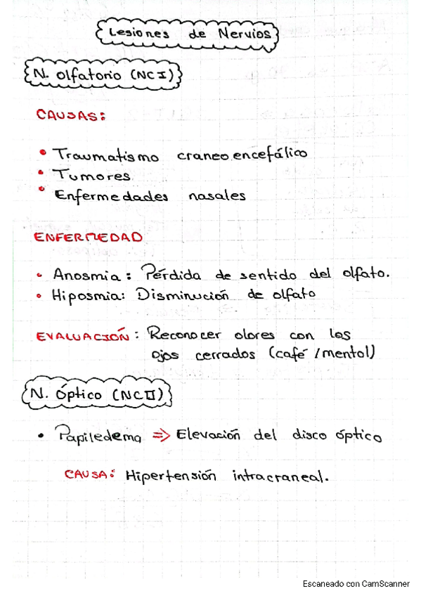 Miniatura del documento LESIONES-DE-NERVIOS-AFIFI.pdf