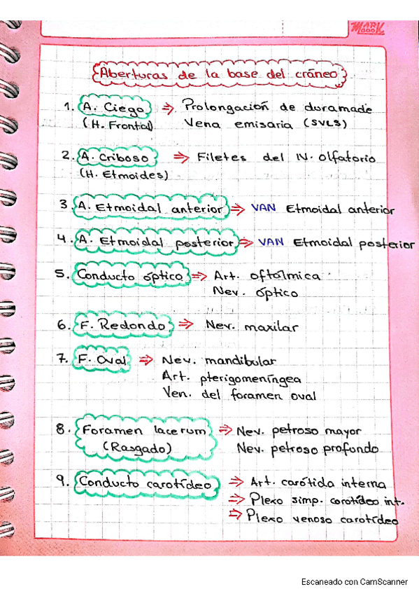 Miniatura del documento AGUJEROS-DEL-CRANEO.pdf