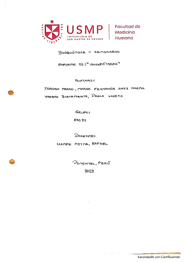 Miniatura del documento Informe-2-SEMINARIO.pdf