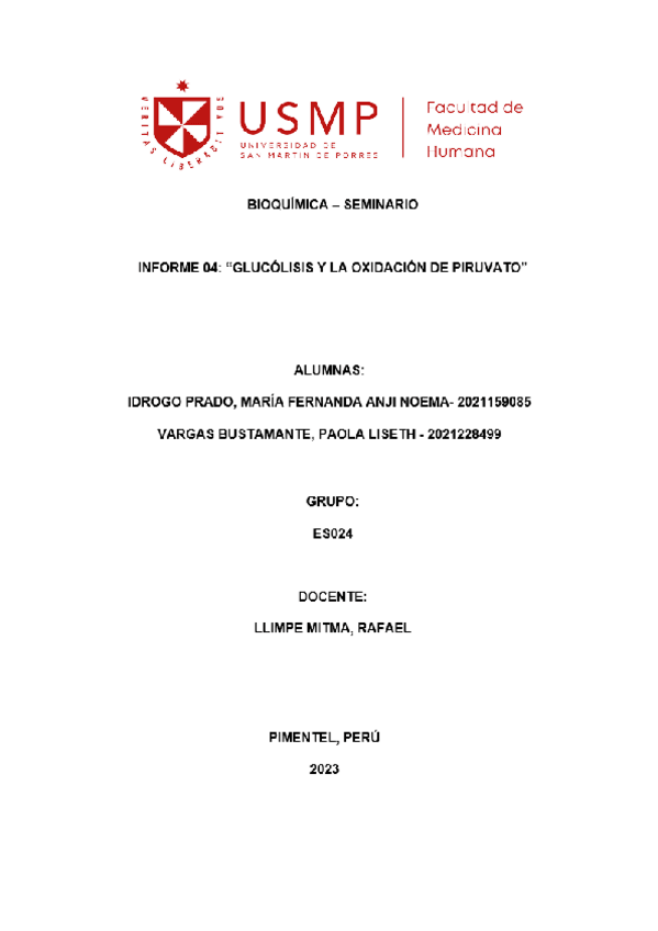 Miniatura del documento Informe-4-SEMINARIO.pdf