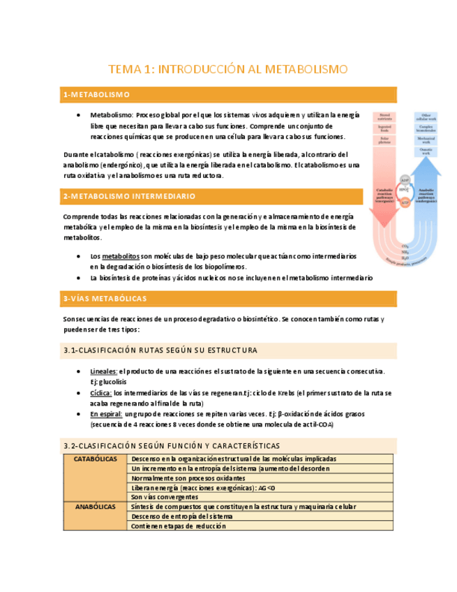 Miniatura del documento TEMA-1-INTRODUCCION-A-LA-BIOQUIMICA.pdf