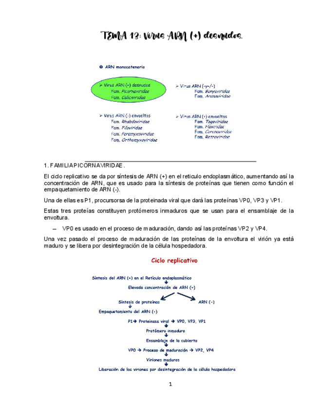 Miniatura del documento TEMA-13-VIROLOGIA.pdf